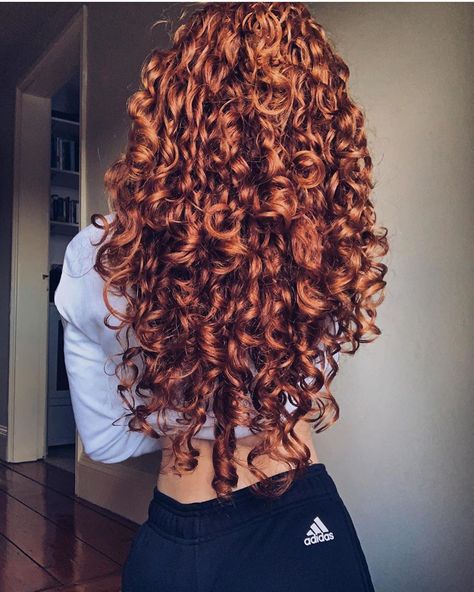 Curly Ginger Hair, Red Curly Hair, Dyed Curly Hair, Natural Red Hair, Ginger Hair Color, Colored Curly Hair, Hair Color Auburn, Curly Hair Inspiration, Auburn Hair