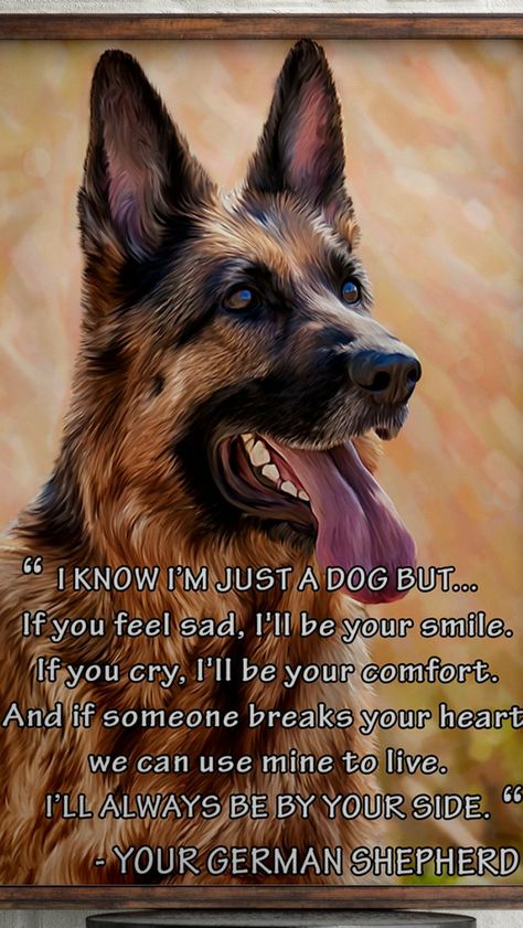 German Shepherd Dog Quotes, German Shepherd Quotes, German Shepherd Funny, German Shepherd Pictures, Funny Dog Pictures, Animal Facts, Dog Images, Motivational Quotes For Life, Dog Quotes