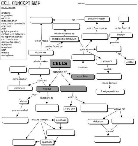 CELLS CONCEPT MAP Biology Corner, Teaching Cells, Cells Worksheet, Science Cells, Biology Worksheet, Map Worksheets, Biology Resources, Biology Classroom, High School Biology