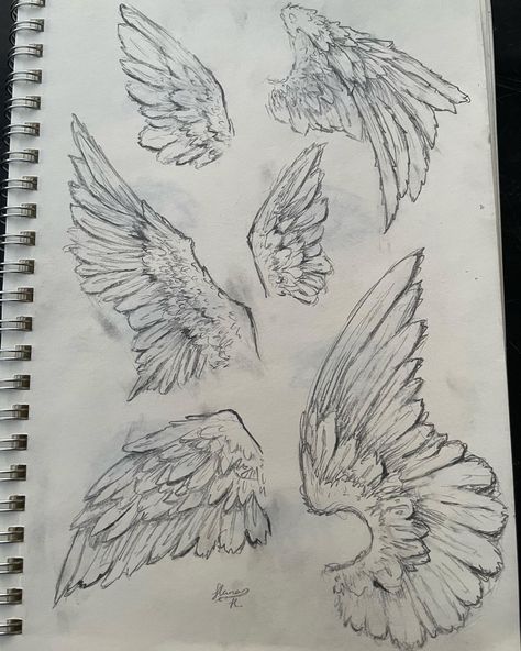 Wings On Human Drawing, Wing Refrences Drawings, Wings Drawing Back View, Winged Creature Art, Evil Wings Drawing, Real Angels Drawing, Angel Wings Art Reference, Drawing Reference Wings, Human With Wings Drawing