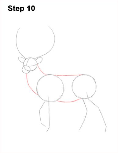 Draw a Red Deer Buck 10 Drawing Deer Sketches, How To Draw A Stag, Stag Drawing Easy, How To Draw A Deer, How To Draw Deer, Deer Video, Deer Drawing Easy, Draw Deer, Draw A Deer