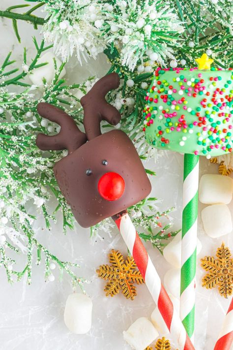 These festive marshmallow pops are the cutest treat for your holiday gatherings. They're coated in rich Belgian chocolate and given a splash of color with chocolate candy melts. You can easily jazz them up with fun toppings like sprinkles and pretzels. Plus, there’s a fun tutorial for making Santa and Rudolph, plus easy instructions for creating a cheerful Christmas tree marshmallow. Get ready to spread some holiday cheer by making your own Christmas marshmallow pops. They're so cute AND tasty! Xmas Marshmallow Treats, Christmas Treats Marshmallow, Christmas Marshmallow Pops, Marshmallow Christmas Treats, Holiday Marshmallows, Christmas School Treats, Marshmallow Santa, Marshmallow Kabobs, Marshmallow Pops Christmas