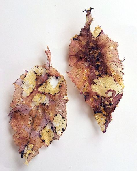 Ailie Snow Textiles, Ailie Snow, Organza Leaves, Wabi Sabi Inspiration, Decay Art, A Level Textiles, Growth And Decay, Creative Textiles, Contemporary Textiles