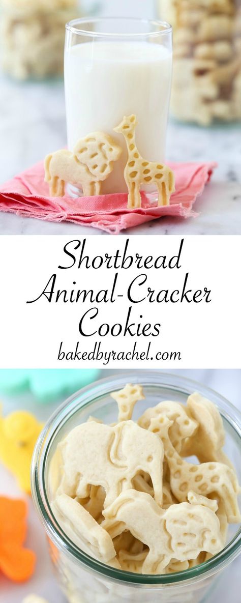 Homemade shortbread animal cracker cookie recipe from @bakedbryachel Chocolate Animal Crackers, Animal Cracker Cookies, Animal Crackers Recipe, Animal Cookies Recipe, Baked Gifts, Chocolate Board, Nanny Activities, Homemade Shortbread, Animal Cracker