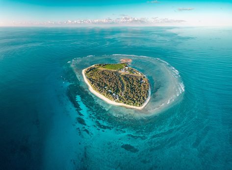 Here are eight other Australian islands you might not have heard of yet ... but we're willing to bet are about to land at the top of your travel to-do list. Snorkeling Pictures, Bruny Island, Coral Bleaching, Fraser Island, Kangaroo Island, The Great Barrier Reef, Island Destinations, Manta Ray, Aerial Photo