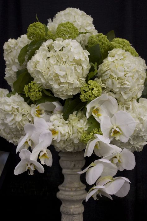 Gorgeous mix of white and green hydrangea, green Viburnum (like mini hydrangea) and white Phaleonopsis orchid sprays. All set on a wrought iron pedestal stand. - Design by J. Morris Flowers. White Green Hydrangea, Hydrangea Urn Arrangement, Limelight Hydrangea Wedding Centerpieces, Green And White Hydrangea Centerpiece, Orchid And Hydrangea Bouquet, White And Green Hydrangea Wedding, Ranunculus Wedding Centerpieces, Green Orchid Bouquet, Hydrangea And Peony Bouquet