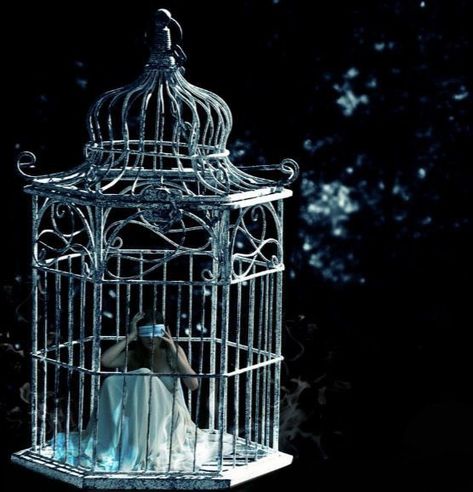 Cage Aesthetic, Bird Aesthetic, Nicolas Flamel, Bird In A Cage, Gellert Grindelwald, Bird Wallpaper, Animated Love Images, Anime Angel, Love Images