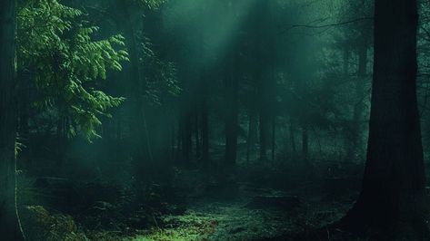 Download wallpaper 1280x720 forest, fog, trees, shadows, light hd, hdv, 720p hd background Desktop Backgrounds Hd, Nature Desktop Wallpaper, Computer Wallpaper Hd, Nature Desktop, Dark Forest Aesthetic, Dark Green Wallpaper, Dark Landscape, Backgrounds Hd, Dark Green Aesthetic