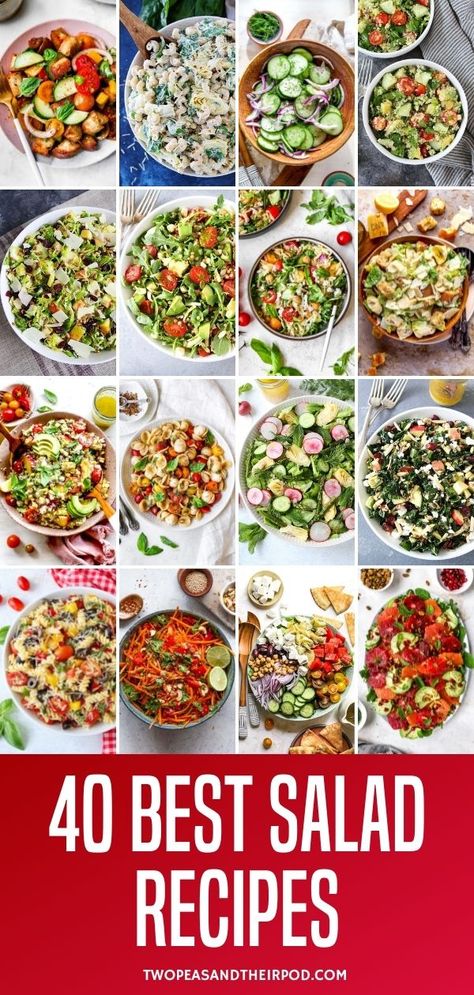 40 Best Salad Recipes Healthy Cold Salads For Parties, Salads For Weddings, Salad Trio Ideas, Salads For Catering, Salads Bar Ideas, Spoon Salad Recipe, Easy Potluck Salads Simple, Salad Party Ideas Entertaining, Simple Salad For A Crowd