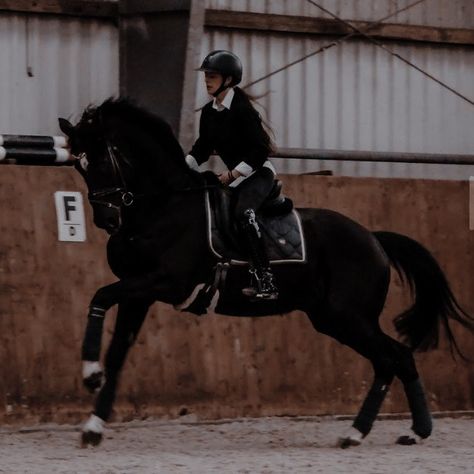 Female Equestrian Aesthetic, Horse Riding Aesthetic, Equestrian Aesthetic, Horse Aesthetic, English Riding, Equestrian Lifestyle, Dressage Horses, Horse Equestrian, Equestrian Life