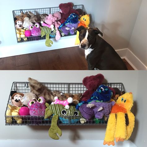 Dog toy storage under long peninsula #dog #dogideas #dogspace #organization Diy Dog Toy Storage Ideas, Dog Toy Organizer, Dog Towel Storage, Dog Toys Organization, Dog Apartment Living Ideas, Dog Toys Storage, Dog Toy Storage Diy, Dog Toy Storage Ideas, Dog Storage Ideas