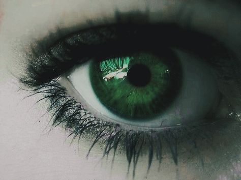 𝒜ℯ𝓈𝓉𝒽ℯ𝓉𝒾𝒸🕊 Emerald Green Eyes Aesthetic, Green Eyes Aesthetic, Emerald Green Eyes, Eyes Aesthetic, Green Eye, Green Eyes, Picture Quotes, Emerald Green, Aesthetic Pictures