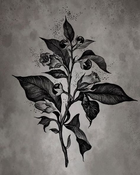 Dark Nature Tattoo Ideas, Night Shade Tattoo, Poison Flowers Tattoo, Night Shade Flower Tattoo, Dark Delicate Tattoo, Nightshade Tattoo Design, Wilted Flowers Tattoo, Nightshade Tattoo, Deadly Night Shade Flower Tattoo