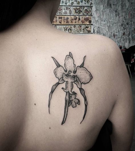 Ghost orchid. Thanks Nádia. #ghostorchid #orchidtattoo #btattoing #btattooing #blackwork_tattoo #vsco #vscocam #blacktatts #tttism #occultarcana #blackworktattoo #blackworktattoos #dotwork #dotworktattoo #dotworkers #black_tattooink #geometrychaos #BLACKTATTOOMAG #hallofblackmag #iblackwork #blackndark #noirtattoos #BLXCKINK #blxckwork #blacktattooart #darkartists #onlyblackart #blackworkerssubmission #blackworkers_tattoo by catia_gonefishing Ghost Orchid Tattoo, Orchid Tattoo Meaning, Orchid Tattoos, Hipster Coffee Shop, Ghost Orchid, Hipster Coffee, Orchid Tattoo, Friendship Tattoos, B Tattoo