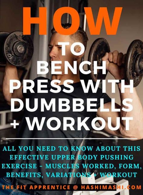 Bench Press With Dumbbells - All you need to know about the dumbbell bench press, an incredibly effective upper body pushing exercise. Such as the benefits, muscles worked, form tips, variations, plus one great workout suitable for gym + home use. bench press with dumbbells | dumbbell bench press Dumbbell Bench Press, Build Muscle At Home, Ideal Body Weight, Muscular Endurance, Gym Home, How To Lean Out, Chest Workouts, Body Composition, Strong Body