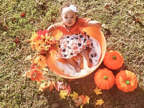 DIY Fall photos using props from Dollar Tree Dollar Tree Photography Props, Dollar Tree Fall Decor, Fall Decor Dollar Tree, Dollar Tree Fall, Tree Photography, Fall Photos, Diy Photo, Photography Props, Baby Pictures