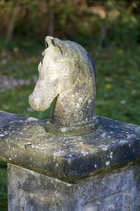 Horse Head Statue, England Garden, New England Garden, European Garden, Garden Urns, Head Statue, Carved Stone, Cast Stone, Animal Statues