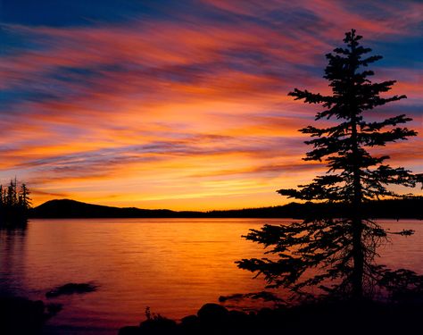 Tree In Sunset Painting, Sunset Over Mountains, Peoples Choice Awards, Sunset Over Lake, Sunset Mountains, Forest Sunset, Sunset Lake, Seascape Photography, Outdoor Photographer