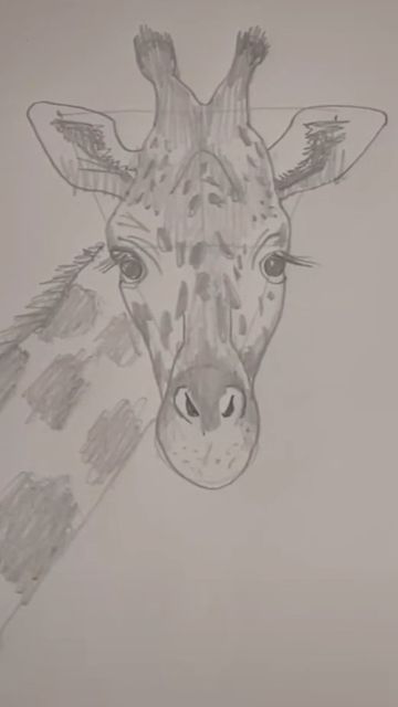 Tutorials For Drawing, Giraffe Sketch Easy, Giraffe Pen Drawing, Easy Drawings To Do In School, Cute Animals Drawings Cartoon, Girrafe Aesthetic Drawing, Drawings Of Giraffes, Giraffe Drawing Realistic, How To Draw A Giraffe