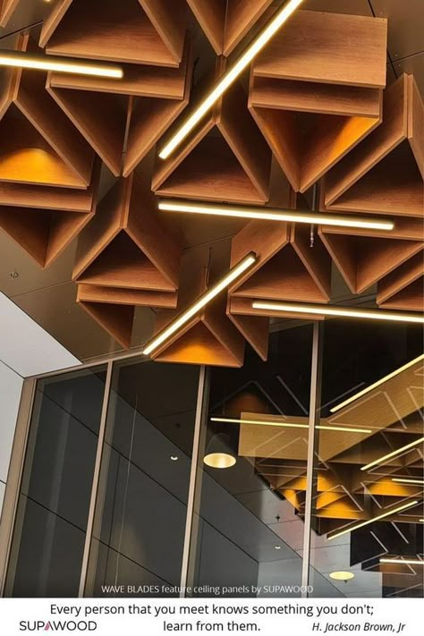 feature timber hive ceiling with integrated lighting #ceiling Ceiling Lights Office Work Spaces, Stage Ceiling Design, Modern Office Ceiling Design, Cafe Ceiling Design, Restaurant Ceiling Design, Modern Lobby Design, Restaurant Ceiling, Architecture Ceiling, Reclaimed Wood Ceiling