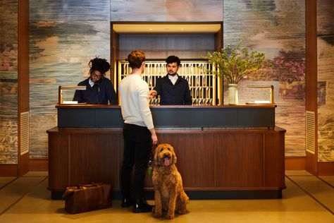 Shinola Hotel, Hotel Reception Desk, Hotel Ads, Animal Photoshoot, Dog Friendly Hotels, Holiday Hotel, Hotel Reception, Hotel Staff, Small Hotel