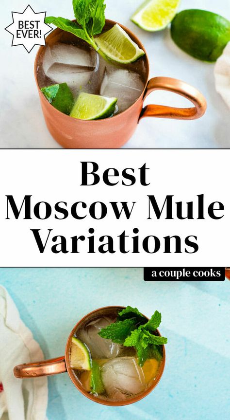 Here are all the best Moscow mule variations to try! These types of mules are the most popular riffs on this classic drink. #moscowmule #mulevariations #kentuckymule #mexicanmule #irishmule #ginginmule #cocktails #cocktail Mule Variations, Moscow Mule Variations, Best Moscow Mule, Kentucky Mule, Mule Drink, A Couple Cooks, Moscow Mules, Mule Cocktail, Vegan Recipes Plant Based