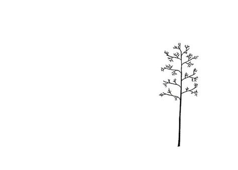 Aspen Trees Tattoo, Aspen Trees Photography, Tree Tattoo Art, Tree Line Drawing, Palm Tree Tattoo Ankle, Simple Tree Tattoo, Minimalist Tree, Tree Photoshop, Tree Sketch