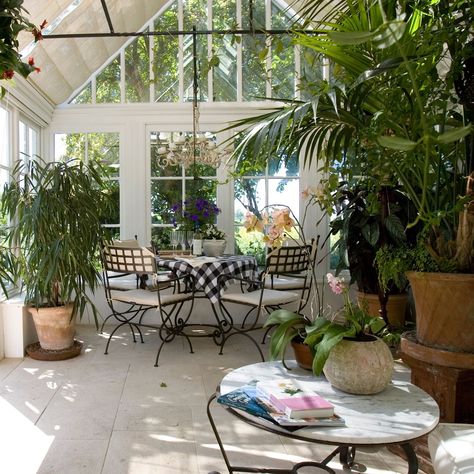 Bring the outside in with a beautiful indoor garden.  [link url="http://www.valegardenhouses.co.uk/"]Vale Garden Houses[/link]  Like this? Then you'll love[link url="http://www.houseandgarden.co.uk/outdoor-spaces/features/garden-rooms"]Gorgeous garden rooms[/link] Orangery Conservatory, Conservatory Plants, Conservatory Interior, Conservatory Ideas, Conservatory Greenhouse, Conservatory Design, Dome Greenhouse, West Facing Garden, Conservatory Garden