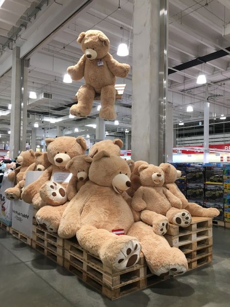 Huge Teddy Bear Aesthetic, Costco Bear, Huge Teddy Bears, Teddy Bear Images, Giant Teddy Bear, Giant Teddy, Cartoon Toys, Dream Gift, Cute Couples Kissing