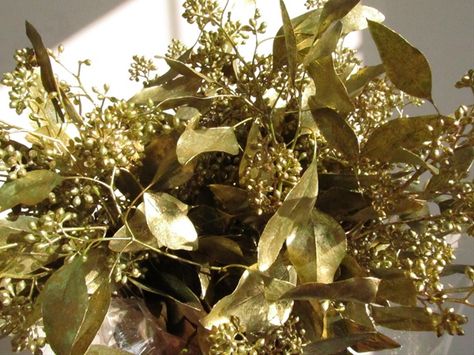 Eucalyptus Seeded Painted Gold Drinks Reception, Seeded Eucalyptus, Gold Spray, Authentic Mexican, Wedding Rehearsal Dinner, Chinese Wedding, Flower Branch, Burgundy And Gold, Wedding Rehearsal