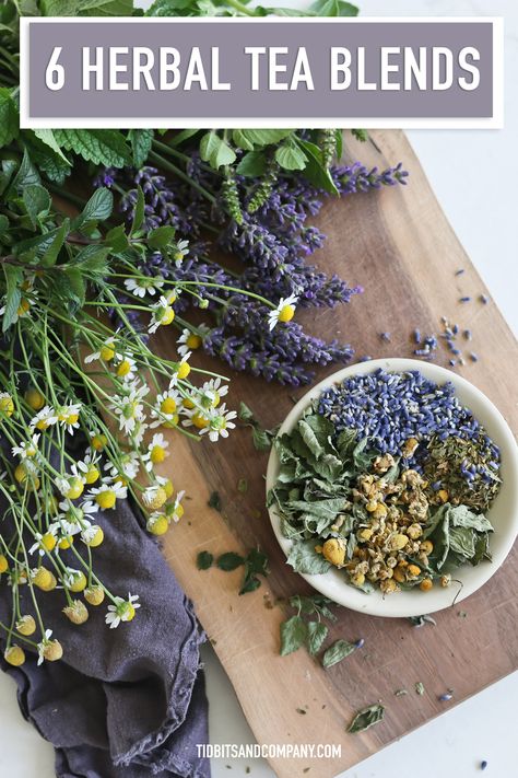 Benefits Of Lavender, Tea Blends Recipes, Lavender Varieties, Herb Garden Pots, Medicinal Herbs Garden, Lavender Benefits, Get Better Sleep, Herbal Teas Recipes, Tea Diy