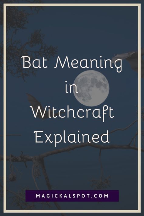 In this article, we'll learn about the Bat Meaning in Witchcraft. We'll learn more about its symbolism, and what does it mean if you dream about it. Bats In Witchcraft, Bat Spirit Animal, Bat Tattoo Meaning, Bat Spiritual Meaning, Bat Spirit Animal Meaning, Bat Symbolism, Witchcraft Meaning, Witch Meaning, Spirit Animal Meaning