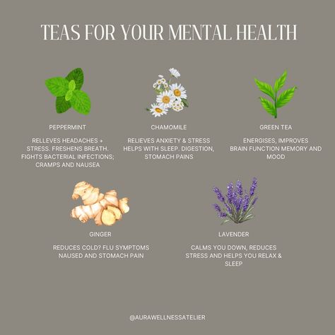 Teas That Help With Headaches, Tea For Headaches, Fitness Gym Aesthetic, Healing Tea Recipes, Teas For Headaches, Pmdd Symptoms, Herbal Tea Benefits, Holistic Health Nutrition, Calming Tea