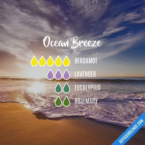 Doterra Diffuser Blends, Essential Oil Combinations, Essential Oil Diffuser Blends Recipes, Young Living Essential Oils Recipes, Essential Oil Diffuser Recipes, Yl Essential Oils, Oil Diffuser Recipes, Essential Oil Blends Recipes, Essential Oil Mixes