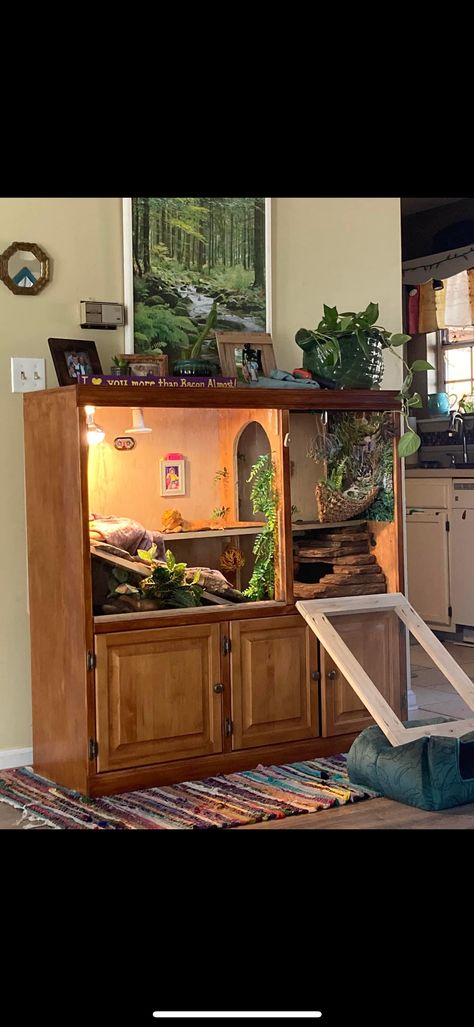 Diy Bearded Dragon Enclosure, Bearded Dragon Vivarium, Bearded Dragon Terrarium Ideas, Pic Profile, Lizard Habitat, Bearded Dragon Diy, Diy Reptile, Bearded Dragon Terrarium, Bearded Dragon Enclosure