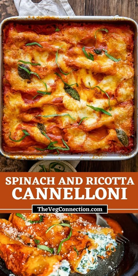 Ricotta Cannelloni Recipes, Canaloni Fillings, Veggie Manicotti Recipe, Canilouni Recipe, Vegetable Cannelloni, Stuffed Cannelloni Pasta, Caneloni Recipe Spinach, Stuffed Cannolini, Stuffed Cannelloni Pasta White Sauce