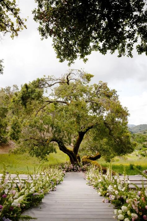 17-mountain-house-estate-wedding-details.webp (665×998) Mountain House Estate Wedding, Mountain View Wedding Ceremony, Outdoor Wedding Mountain View, The Manor House Wedding Colorado, Highlands Ranch Mansion Wedding, Mountain House, Estate Wedding, Wedding Florals, Wedding Details