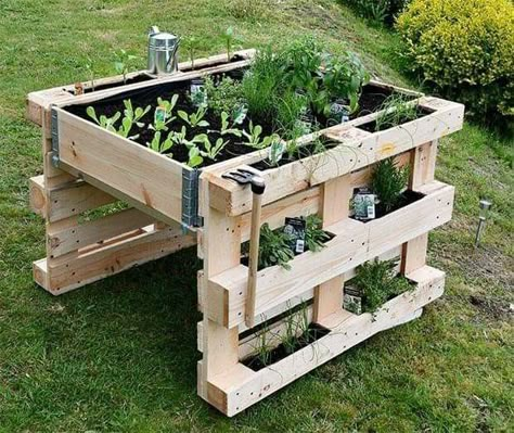 Pallet Projects Garden, نباتات منزلية, Flower Tower, Pallet Planter, Pallet Garden, Dome House, Pallets Garden, Vegetable Garden Design, Woodworking Projects Plans