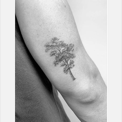 Tree Tattoo Fine Line, Winter Tags, Tattoo Fine Line, Oak Tree Tattoo, Single Needle Tattoo, Tattoos Gallery, Tree Tattoo, Little Tattoos, Fine Line Tattoos