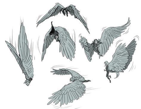 for feathers great and small Bird People, Wings Drawing, Wings Art, Drawing Expressions, Arte Sketchbook, Figure Drawing Reference, Anatomy Art, Art Poses, Drawing Base