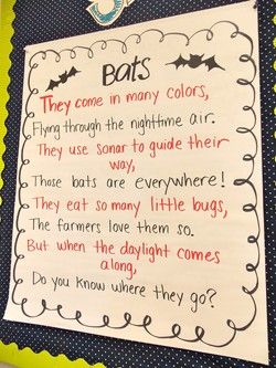 Bat Poems, Spiders Preschool, Kindergarten Poetry, October Kindergarten, Bats Unit, Spider Unit, Spider Fact, The Very Busy Spider, Spider Activities