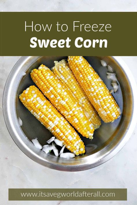 How to Freeze Sweet Corn Cooking Frozen Corn, Blanching Corn, Frozen Corn Recipes, Freezing Fresh Corn, Jalapeño Soup, Freezing Corn, Sweet Corn Soup, Tips For Cooking, Roasted Tomatillo