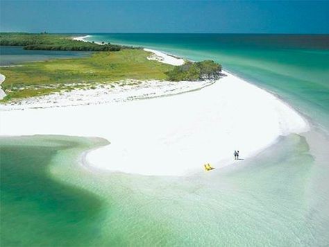 Few People Know You Can Walk To Caladesi Island In Florida Caladesi Island, Caladesi Island State Park, Best Beach In Florida, Fl Beaches, Honeymoon Island, Siesta Key Beach, Beach Pink, Beach Honeymoon, Photo Summer