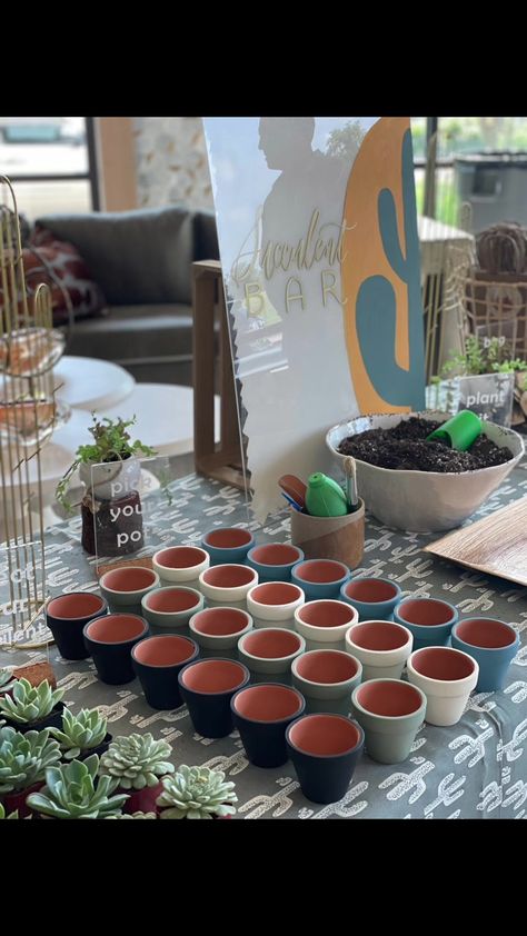 Succulent Station, Succulent Bar, Boutique Events, Sisterhood Events, Succulent Planting, Potting Station, Plant Party, Brand Activations, Sorority Events