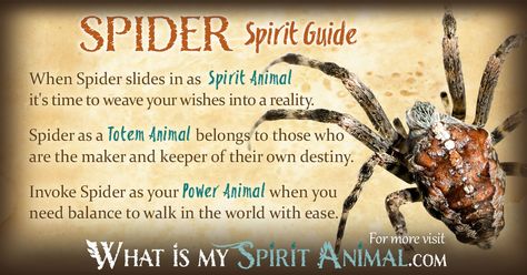 In-depth Spider Symbolism & Spider Meanings! Spider as a Spirit, Totem, & Power Animal. Plus, Spider in Celtic & Native American Symbols & Spider Dreams! Spider Spiritual Meaning, Spider Symbolism, Animal Totem Spirit Guides, Symbolism Meaning, Spirit Animal Meaning, Totem Animals, Animal Meanings, Spirit Animal Totem, Wolf Spider