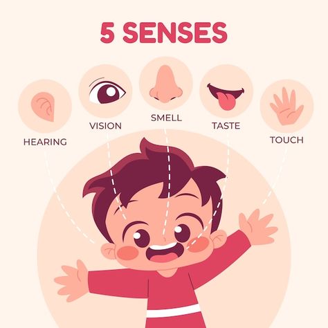 Free vector hand drawn 5 senses illustra... | Free Vector #Freepik #freevector #five-senses #senses #nose #eye-illustration 5 Senses Illustration, Senses Illustration, Eye Illustration, 5 Senses, Alphabet Activities, Vector Hand, Montessori, Hand Drawn, Vector Free