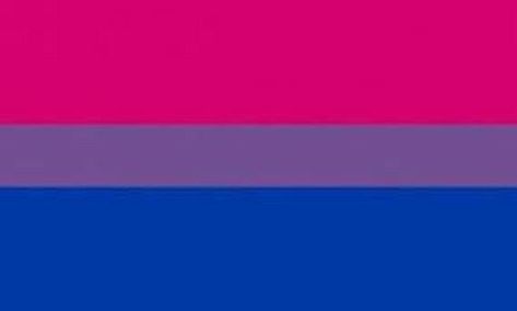 Bisexual Pride Flag, Bi Flag, Bisexual Flag, Lgbtq Flags, Lgbt Flag, Pride Flag, Lgbt Pride, Pride Flags, Art Studio