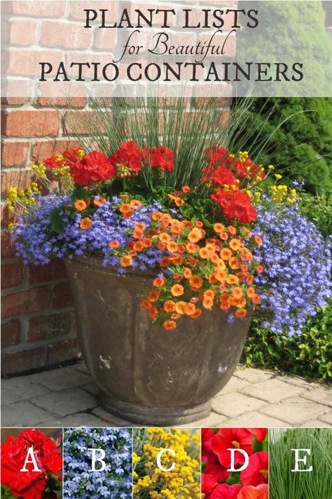 Patio Flowers, Porch Flowers, Container Garden Design, Container Gardening Flowers, Patio Planters, Flower Pots Outdoor, Proven Winners, Beautiful Patios, Patio Plants