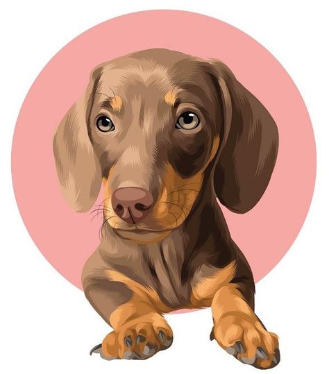 Dashund Dogs Drawing, Daschund Drawing, Daschund Illustration, Cute Pupies, Pet Tattoo Ideas, Pet Tattoos, Dog Design Art, Dachshund Illustration, Dog Portraits Painting