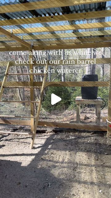 The Reserve at Pierce Farms on Instagram: "Rain barrel chicken waterer in more detail!  Hubby built this one day so that the chickens can be watered regularly with rain, how cool is that!  It makes the farm work lighter and less mess in their water🫶🏼 Drop your questions here and farmer Jon will be sure to answer them in the next video!  #farm #chickensofinstagram #backyardchickens" Rain Barrel Waterer For Chickens, Rain Barrel For Chicken Coop, Chicken Rain Water System, Rain Barrel Chicken Watering System, Barrel Chicken Waterer, Rain Barrel Chicken Waterer, Chicken Coop Watering System, Chicken Watering System, Fancy Chicken Coop